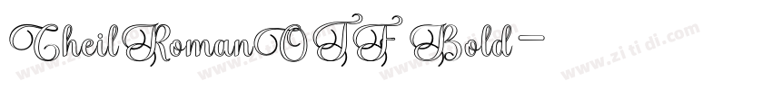 CheilRomanOTF Bold字体转换